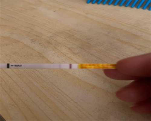 浙江代孕家庭宠物护理指南：孕期安全养宠须知