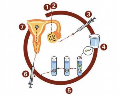 衢州助孕机构选择指南：专业资质与服务质量解析