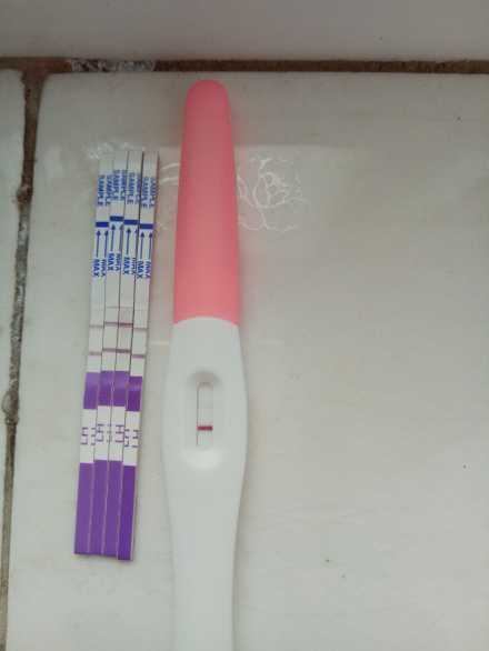 银川三代试管温州供卵试管产子服务一次移植几个胚胎及医院门诊时间指南