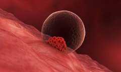 温州供卵靠谱选择：意外怀孕是福是祸需视情况而定