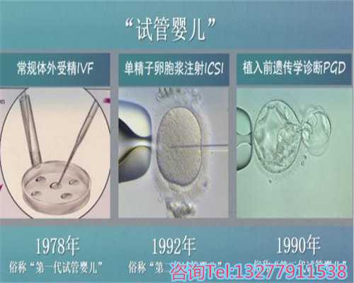 科学断奶指南：宝宝断奶时机与营养辅食选择