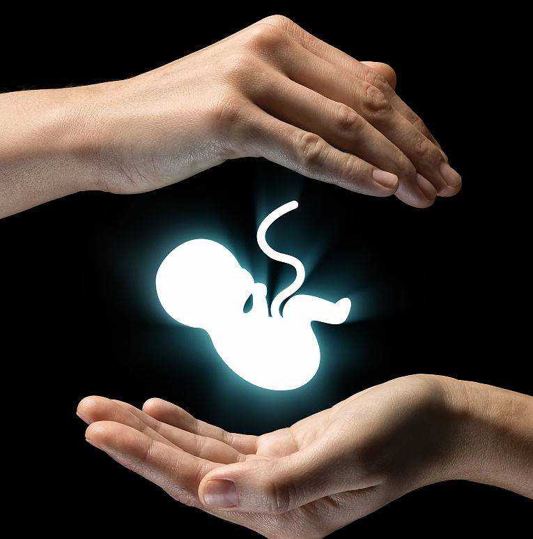 科学供卵试管生子费用解析