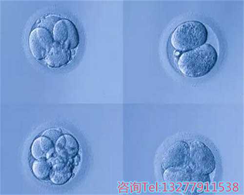 辽宁省鞍山市2026年供卵试管助孕医院排名与费用详情解析