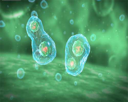 试管婴儿健康与自然生育无异，费用合理选择指南