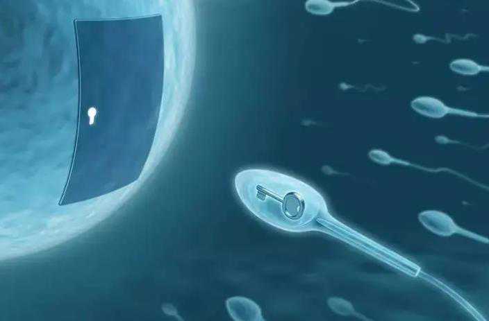 面对婆婆不公待遇，家庭矛盾如何化解？