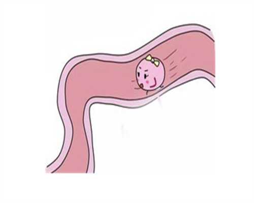 2026杭州拱墅亲子鉴定机构快速出结果，7天内可获取报告