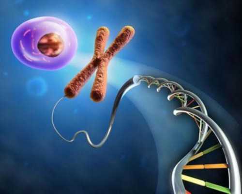 大龄试管，60高龄产妇,双胞胎女儿2009年，60岁大妈做试管婴儿，成功受孕生下双