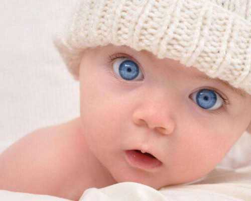 供卵助孕成功率与专家解析